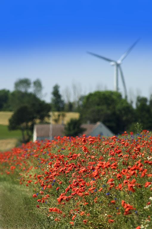 Ballen Badehotel Tranebjerg Dış mekan fotoğraf