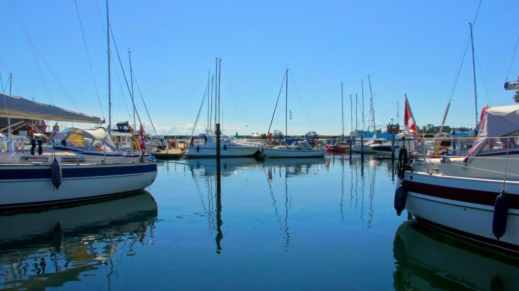 Ballen Badehotel Tranebjerg Dış mekan fotoğraf